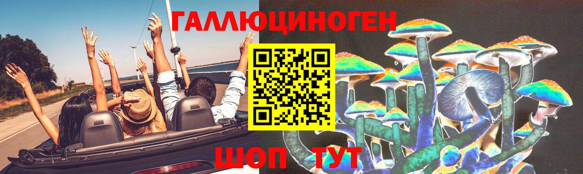 Керчь  Псилоцибиновые грибы мицелий  Вход с VPN 